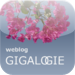 gigalOGie - Weblog Otto Goedhart